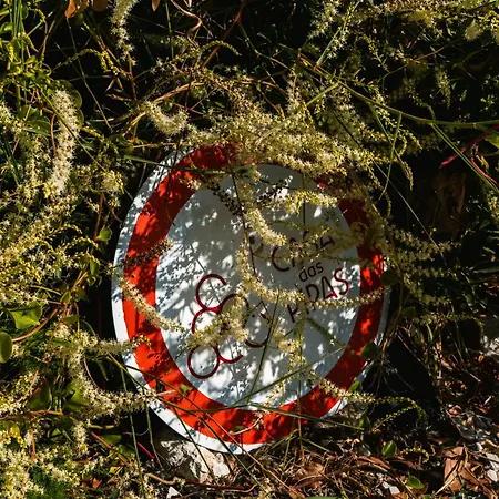 Casa Pipas Palmela #5